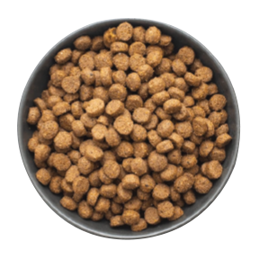 cat food 25% - Old Food 75% - Prestige