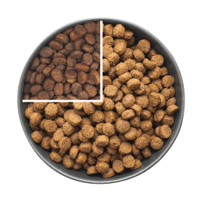 cat food bowl - 25% - Old Food 75% - Prestige