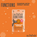 Schesir Functions Cat Pouch Digestive Topper Pumpkin With Wheat Grass 40g (Min Order- 12 Pouch)