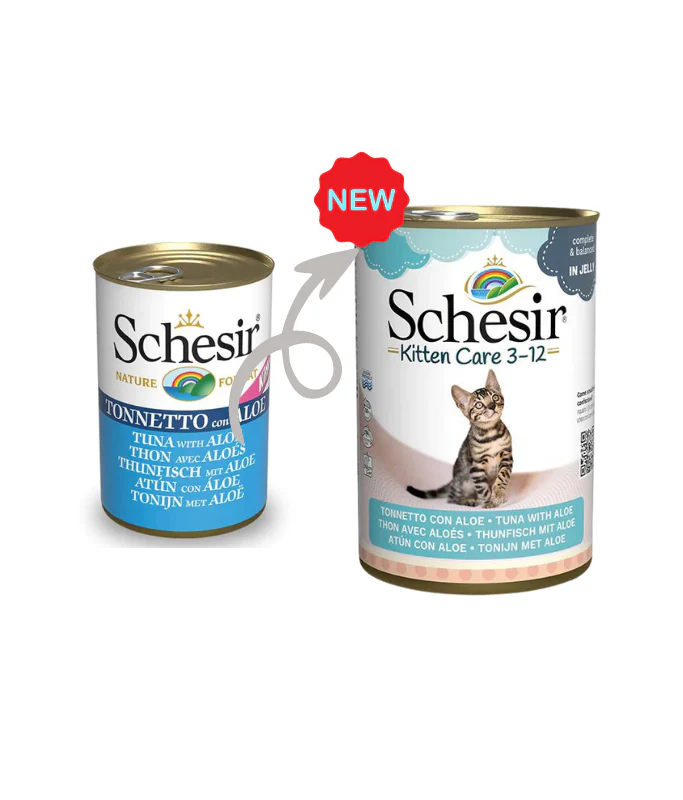 Schesir Kitten Care- Can In Jelly  3-12 Tuna with Aloe Wet Food 140g (Min Order - 6pcs)