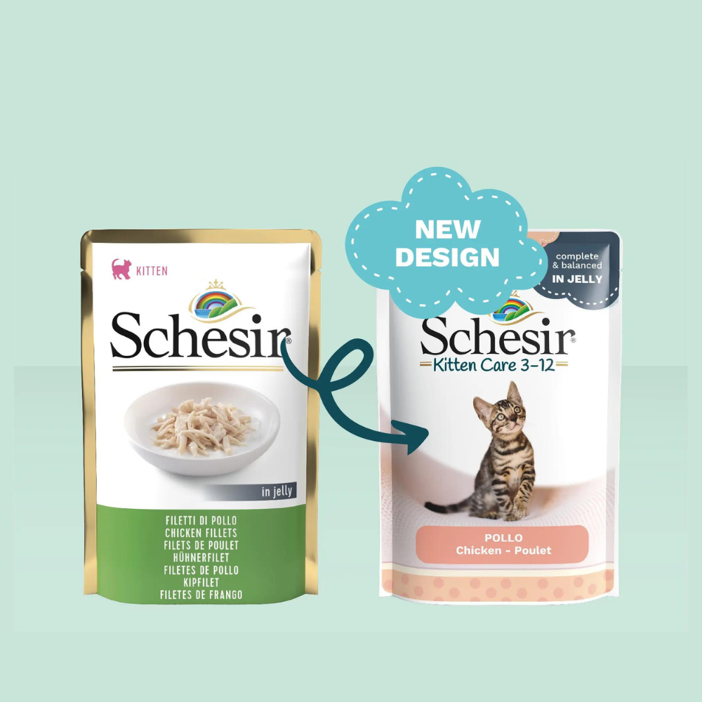 Schesir Kitten Care 3-12 in Jelly Chicken Pouch 85g (Min Order - 20pcs)[Weight - 85g]