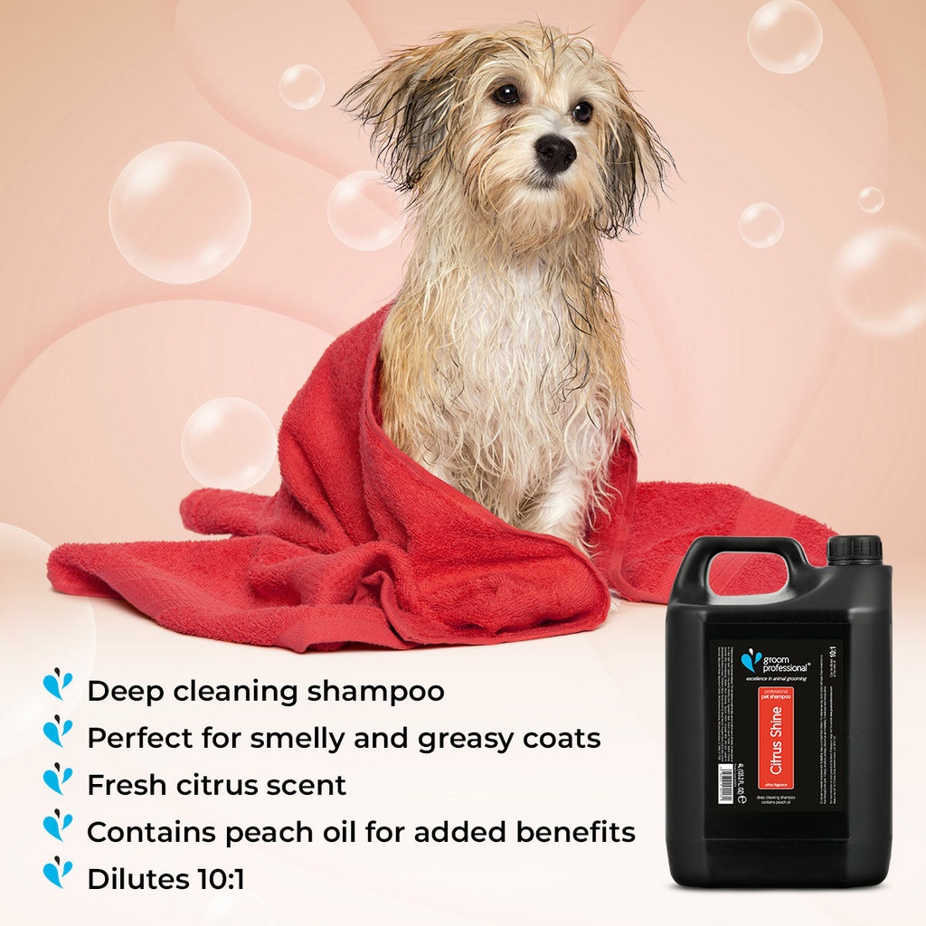 Groom Professional Citrus Shine Pet Shampoo[Volume - 4 litre, Flavor - Citrus scent]