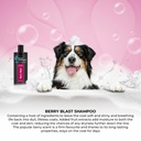 Groom Professional Berry Blast Shampoo[Volume - 450 ml]