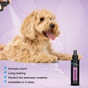 Groom Professional Canine One Cologne|Perfume[Flavor - Sweet Female Fragrance, Volume - 100ml]