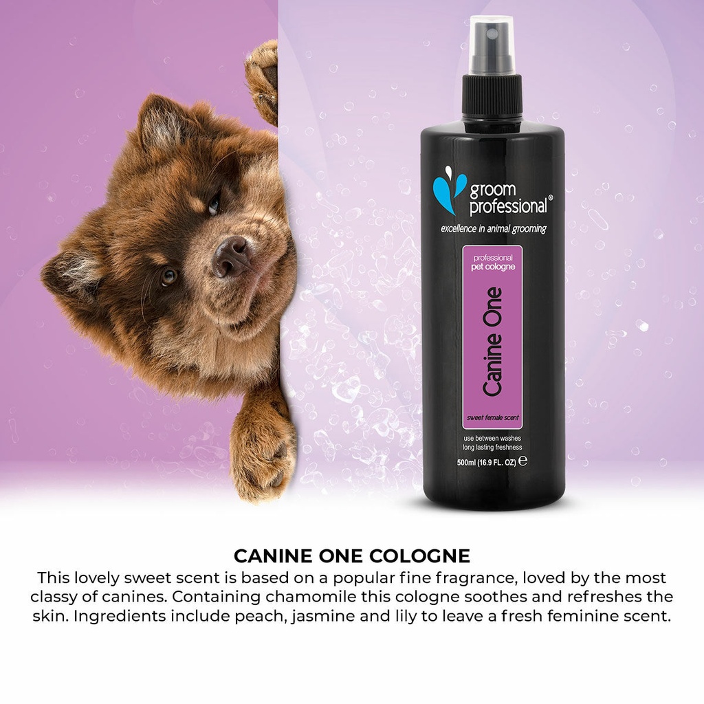 Groom Professional Canine One Cologne|Perfume[Flavor - Sweet Female Fragrance, Volume - 500ml]