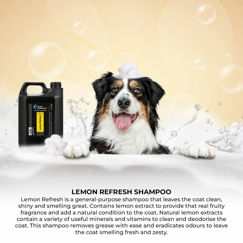 Groom Professional Lemon Refresh Shampoo[Volume - 4 litre, Flavor - Fresh Lemon]