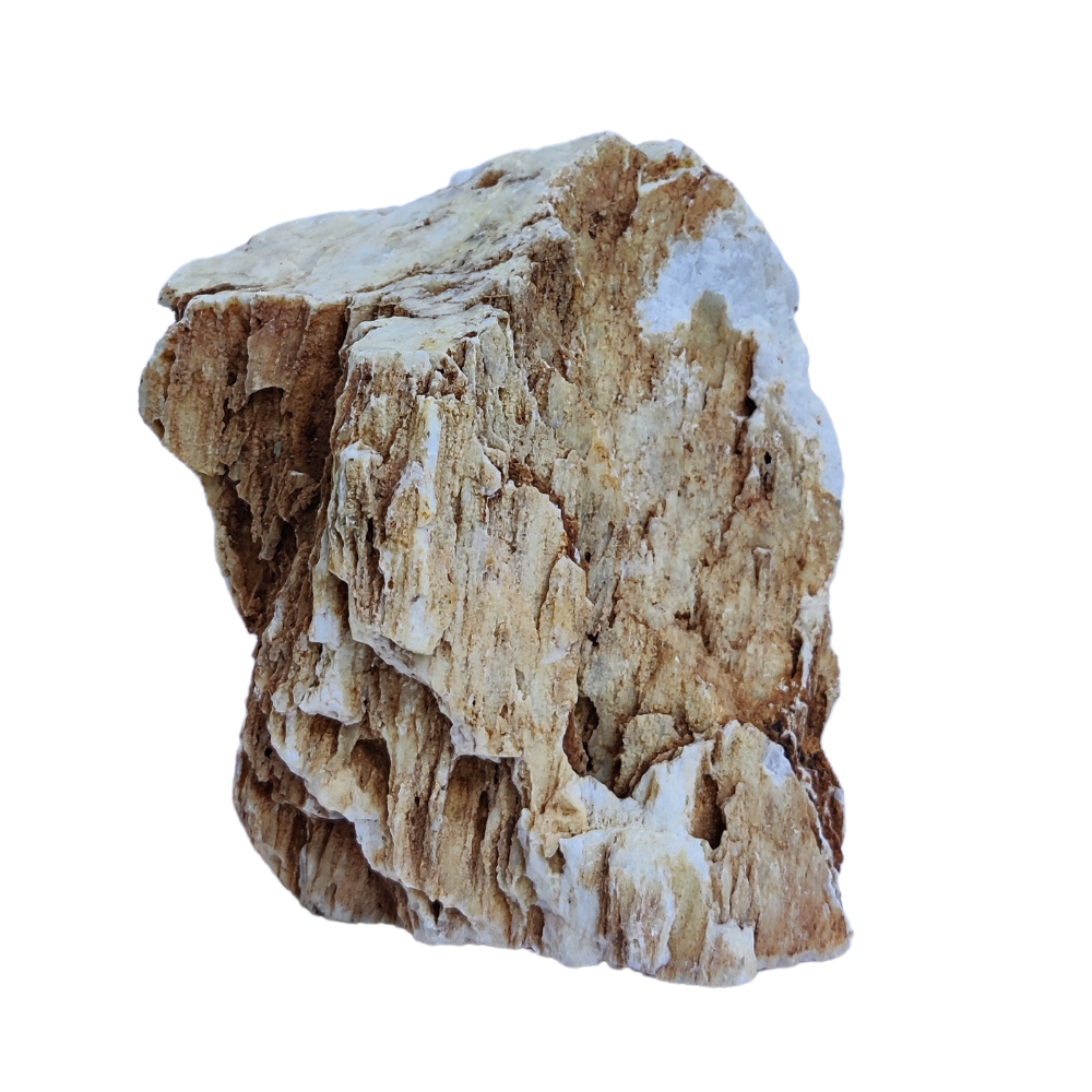 Aqualife Chicken Bone Stone