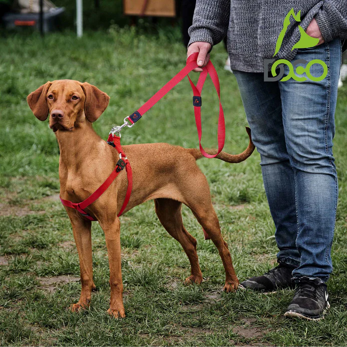 DOCO® Signature Nylon Leash - 4ft-3.8 x 120cm(XL)-Pink