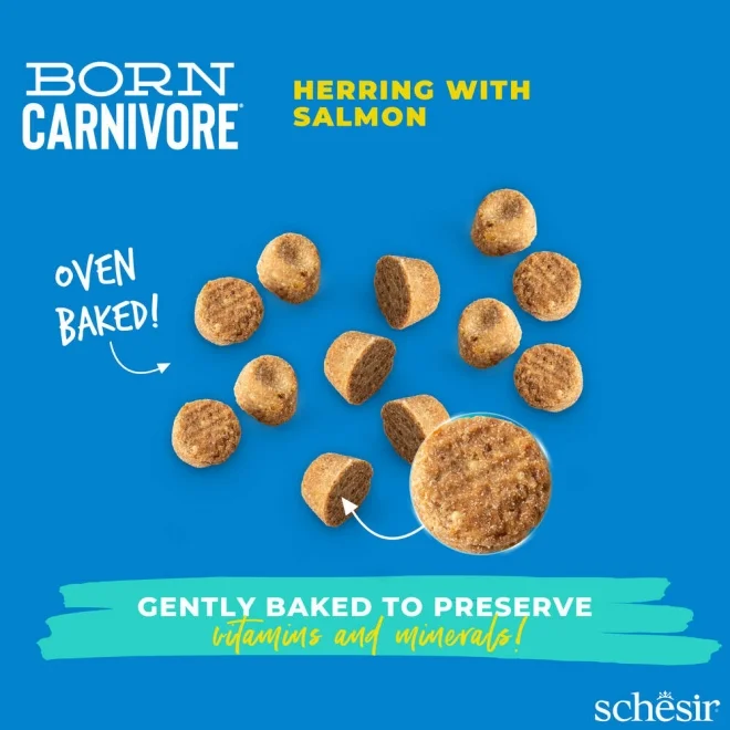 Schesir Born Carnivore Grain Free Oven Baked Dry Cat Herring & Salmon 1.25kg