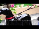 DOCO® Reflective Rope Leash W/ soft Rubber Handle Ver.5 - Click & Lock Snap Ø13mm x 150cm(L) Black