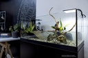 Aquael Aquaterrarium 80