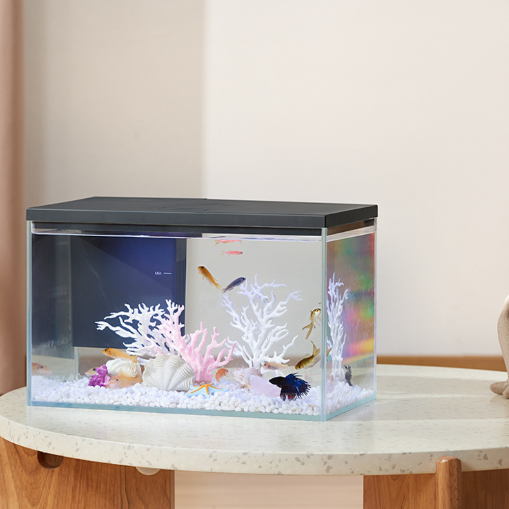 Boyu Pawgether GR-1S WIFI Desktop Aquarium 380x210x240mm (14L)