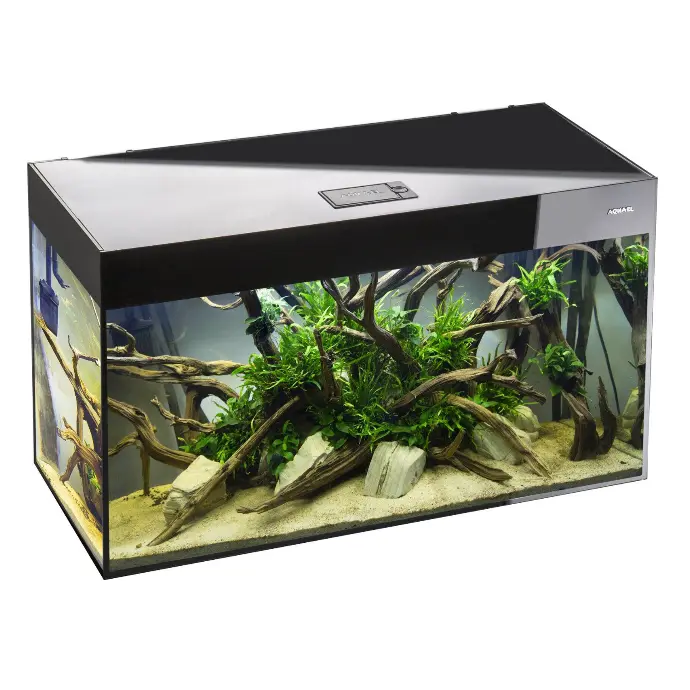 Aquael Aquarium Glossy Day & Night black[Dimension - 80 x 35 x 54cm]