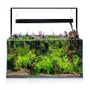 Aquael UltraScape Forest Aquarium[Volume - 60L]