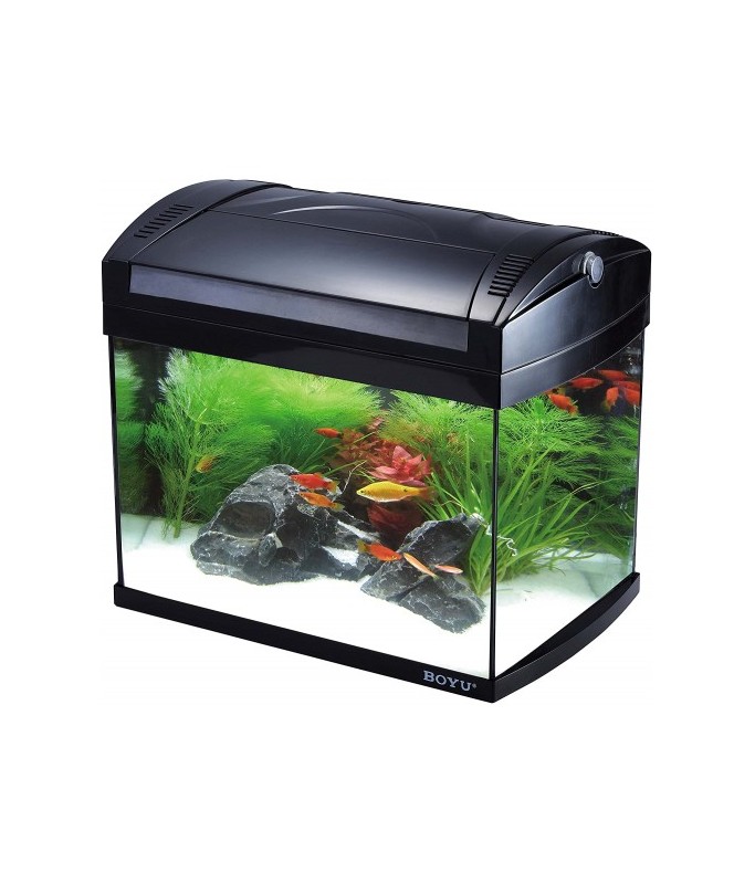 Boyu Aquarium ZJ-Series(Without Cabinet)[Dimension - 628X370X375mm]