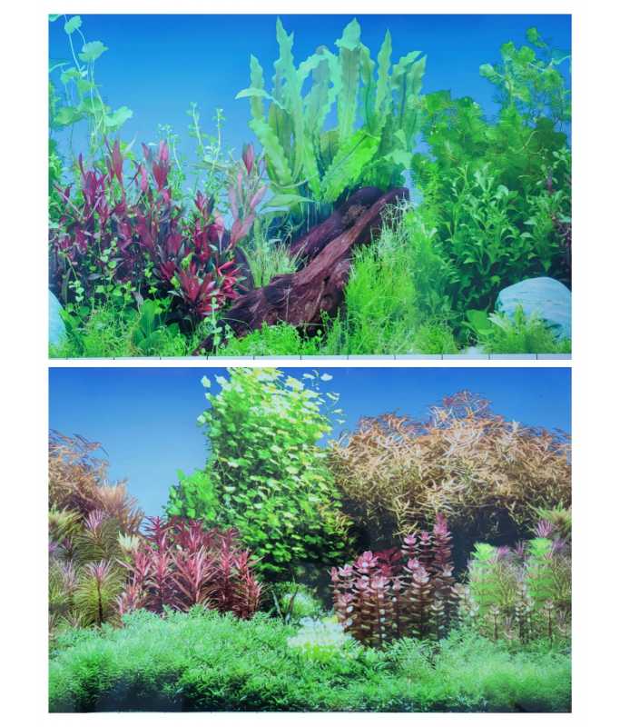 KW Zone Aquarium Backscreen (Picture) 15"x15m[Model - KF3 / NF3]