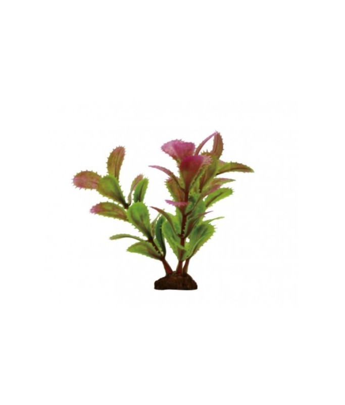 Yusee Aquarium Decoration [6 Pcs] - Artificial Plant - YS-70501[Length - 20cm]