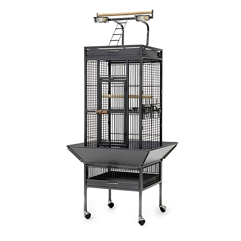 Dayang Bird Cage (A10) - 67 x 67 x 156cm-Black