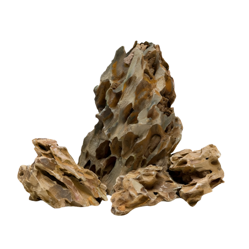 Aqualife Dragon Stone-Per Kg