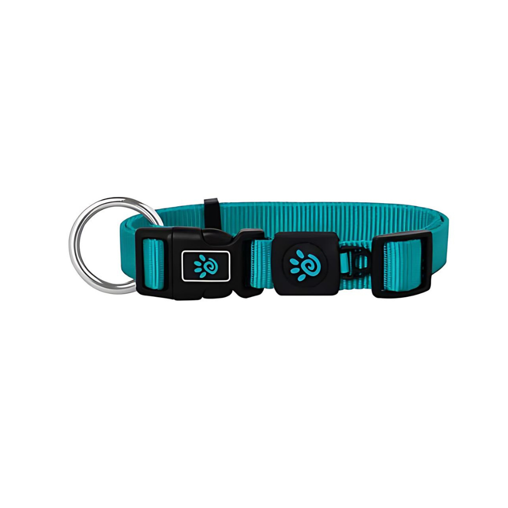 DOCO® Signature O- Ring Collar-1.0 x 21-30cm(XS)-Turquoise