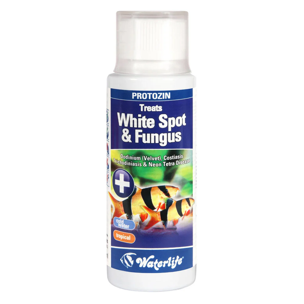 WaterLife Protozin-Treats White Spot & Fungs-100ml