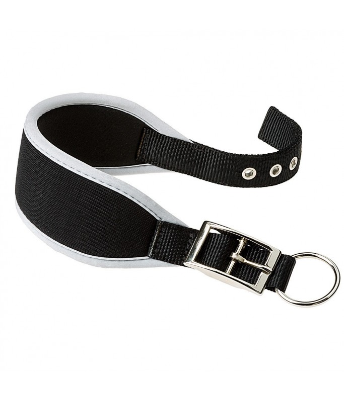 Ferplast Ergocomfort CW20/39 Dog Padded Collar