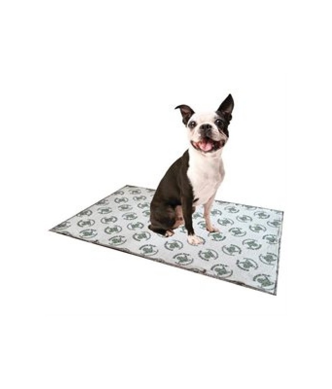 Pooch Pad Indoor Turf Dog Potty Replacement Pad