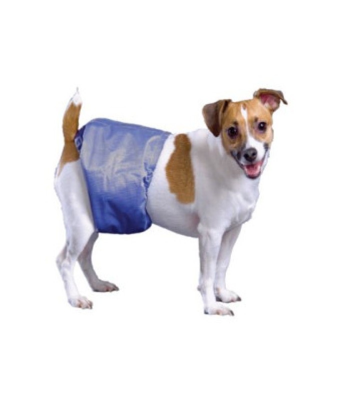 Pooch Pad Poochpants Male Wrap XL  29 - 35"[Length - 58 - 71cm, Size - L]