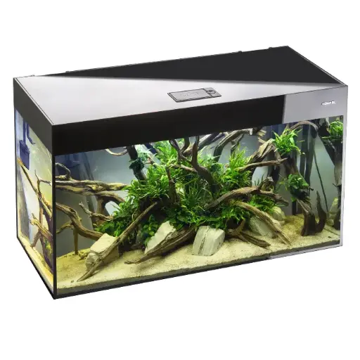 [AQ124361] Aquael Aquarium Glossy Day & Night black[Dimension - 150 x 50 x 63cm]