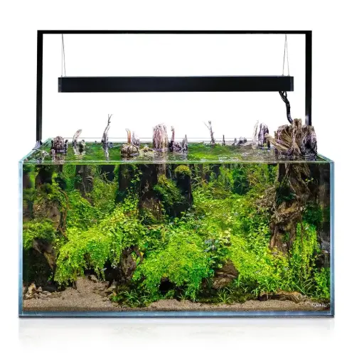 [AQ124855] Aquael UltraScape Forest Aquarium[Volume - 90L]