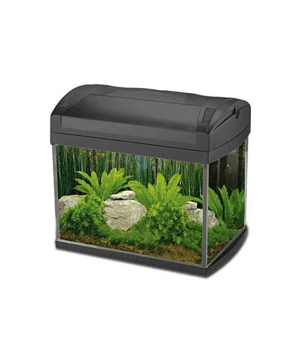 [AQBYZJ-401] Boyu Aquarium ZJ-Series(Without Cabinet)[Dimension - 535x323x352mm]