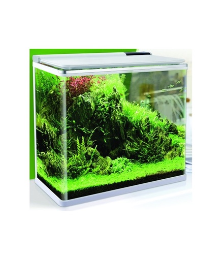 [AQKARISAH-385] Karis Aqua Haven Premium Aquarium Series[Dimension - 38.5 x 24 x 39.5cm]