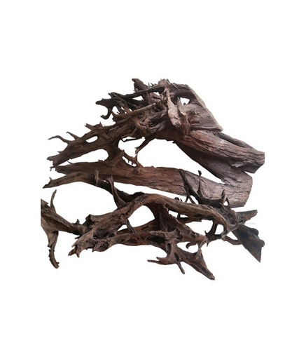 [DWXXLR] KW Zone Aquarium Drift Wood XXL Mangrove Root