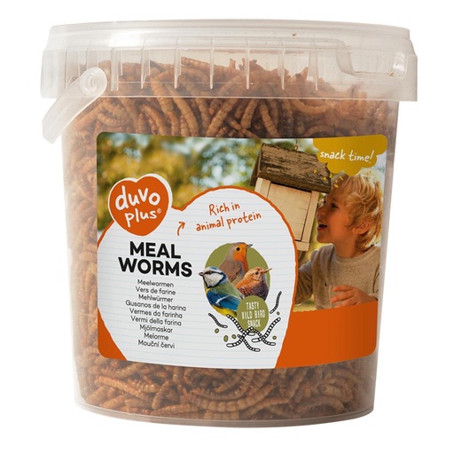 [LR431006] Duvo Meal Worms Bucket 200g[Weight - 200g]