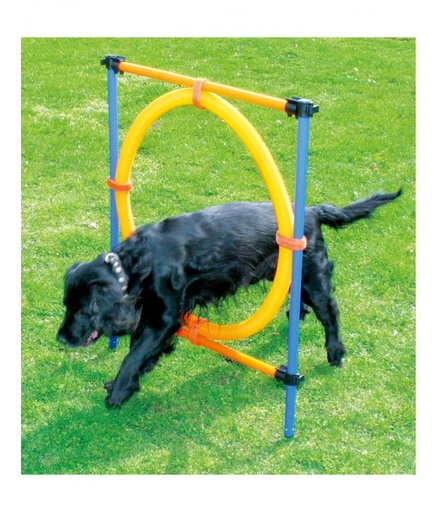 [PDB103] Pawpals Aglt Dog Training Ring 117x10x10Cm