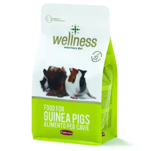 [PP00685] Padovan Wellness Guinea Pigs 1Kg