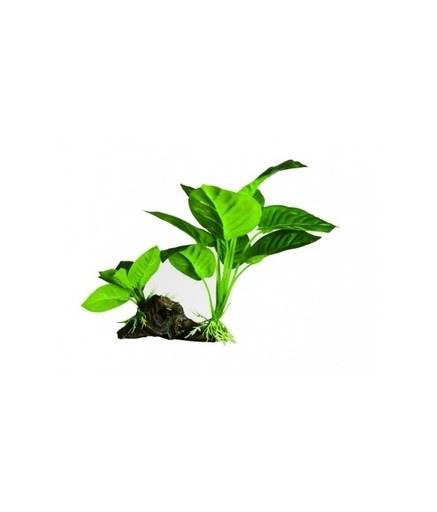 [YS-19508] Yusee Aquarium Decoration - Artificial Plant - YS-19508[Dimension - 15 x 5 x 21cm]