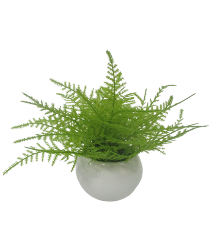 [YS-232203] Yusee Aquarium Decoration - Artificial Plant - YS-232203 (H:13-15cm)