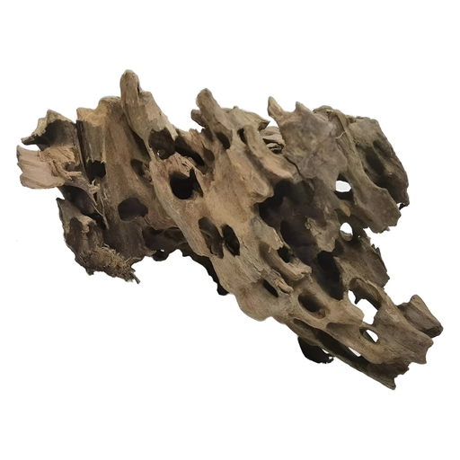 [AL-HCWD] Aqualife Honeycomb Wood-Per Kg